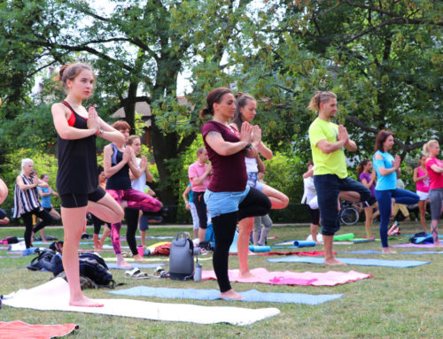 Yoga at Kampa Park – Practice yoga with us 2019